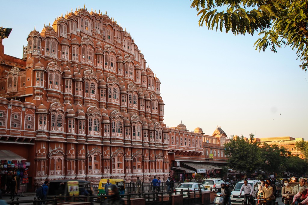 Jaipur, the capital of Rahasthan, India, is home to millions of humans and thousands of cow and monkeys. (Photos: Victoria Nechodomu/Nechodomu Media)