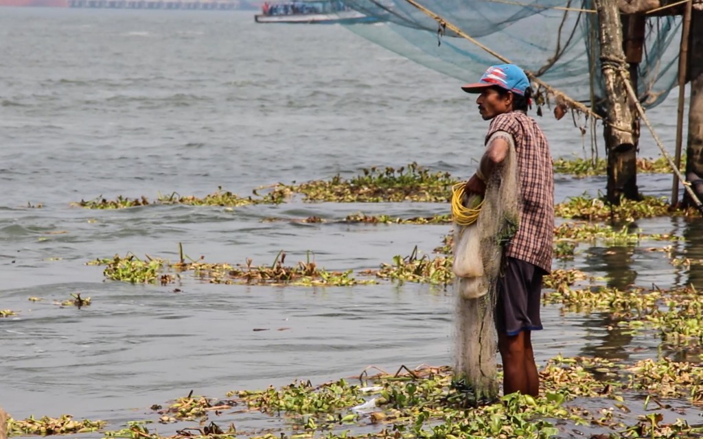 Another common form of fishing in Kochi is net fishing by hand. After 5 casts, this man pulled in 3 small mullet fish. (Photo by Victoria Nechodomu/Nechodomu Media)